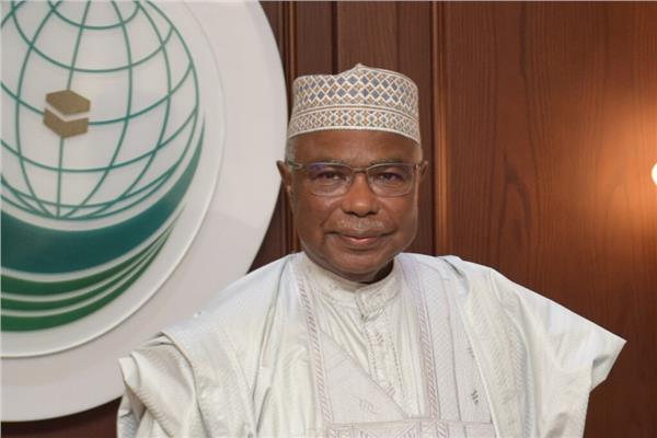 أمين التعاون الإسلامي يبحث مع «أبوالغيط» تطورات الأزمة في السودان