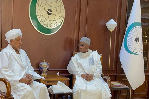 «التعاون الإسلامي» تستقبل مبعوث رئيس مجلس السيادة في السودان