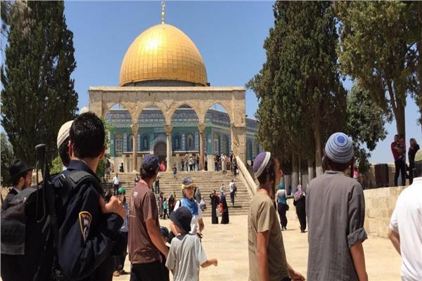 التعاون الإسلامي تدين استمرار الاقتحامات الإسرائيلية للاقصى المبارك