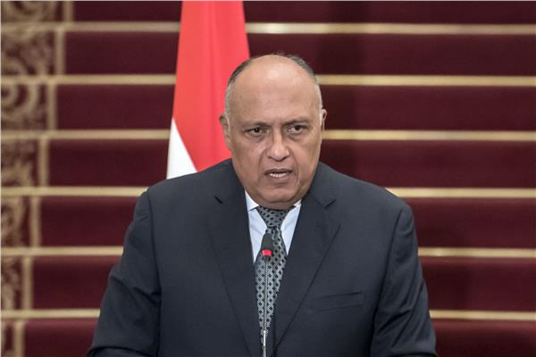 شكري يستقبل مبعوث مجلس السيادة السوداني الثلاثاء
