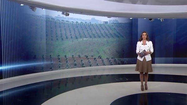غارتان أردنيتان على موقعين لتهريب المخدرات في سوريا.. ما علاقتهما بحزب الله؟