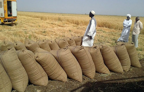 المزارعون والحرفيون السودانيون لا يجدون زبائن منذ اندلاع الحرب