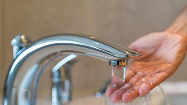 أطعمة ننقعها في الماء قبل أكلها.. لماذا يا ترى؟
