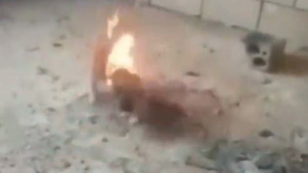 فيديو مروع يفجر غضباً بلبنان..مراهق يشعل النار بجرو كلب