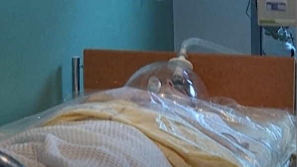 وظيفة ولا أريح… بالفيديو استلق لشهرين ونحن ندفع لك