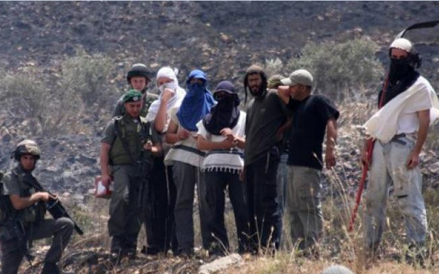 إصابة طفل في اعتداء للمستوطنين بمسافر يطا-الحياة الجديدة