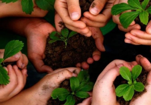 نفايات الاحتلال تشكل تحديا للبيئة الفلسطينية-الحياة الجديدة