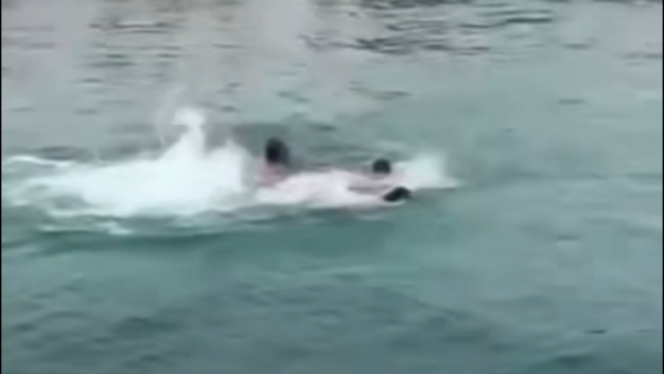 عائلة مصرية كانت قرب القرش القاتل.. الأم تروي لحظات الرعب