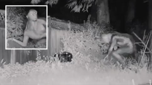 شاهد.. فيديو محير لـ”كائن فضائي” يثير ضجة عارمة على التواصل