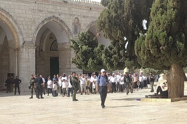 عشرات المستوطنين يقتحمون الأقصى-الحياة الجديدة