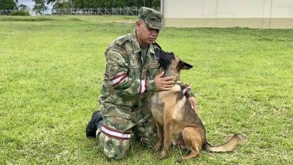 ماساة أطفال الأدغال لم تنته.. فهل تتكرر المعجزة ويظهر “البطل”؟