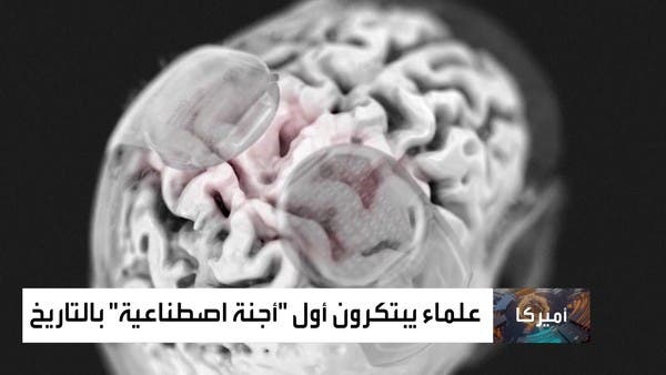 اقتراب ولادة كائن بشري دون بويضات أو حيوانات منوية