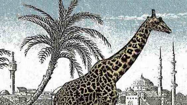 لأصحاب النظر الحاد.. أمامكم 5 ثوانٍ للعثور على الزرافة الثانية