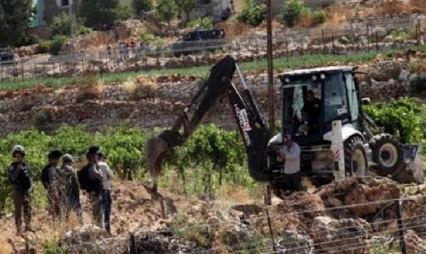 الاحتلال يجرف أرضًا ويهدم بركسًا ويقتلع أشجار زيتون في القدس-الحياة الجديدة
