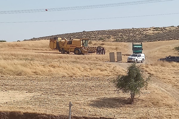 مستوطنون يستولون على مئات الدونمات في تقوع-الحياة الجديدة