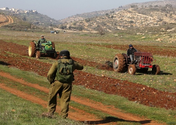 الاحتلال رش المزروعات في قرية عقربا بمبيدات سامة لتهجير سكانها-الحياة الجديدة