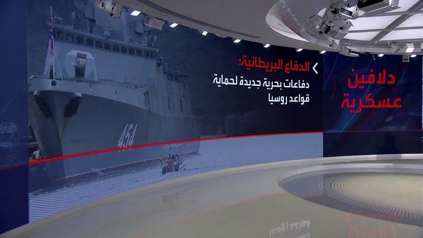 روسيا تجند حيوانا بحريا لحماية قاعدة عسكرية