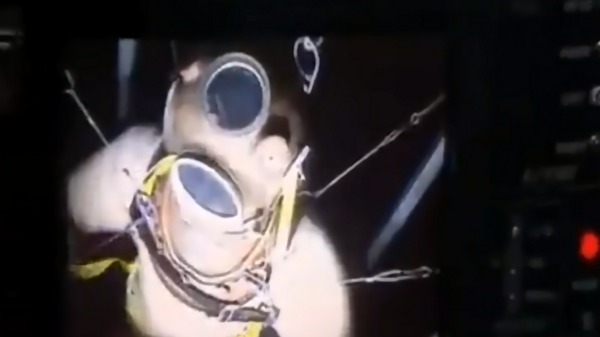 فيديو مرعب يُظهر تأثير انفجار أعماق البحار على جسم الإنسان