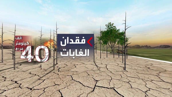 الأرض تختنق بعد فقدان مساحات ضخمة من الغابات الاستوائية بسبب الحرائق والإزالات العمدي