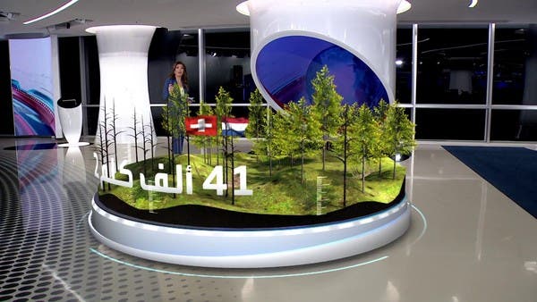 لن تتخيل حجم الكوارث التي تهدد البشرية بسبب قطع أشجار الغابات