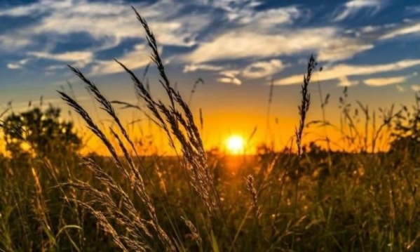 أجواء صيفية والحرارة حول معدلها العام-الحياة الجديدة