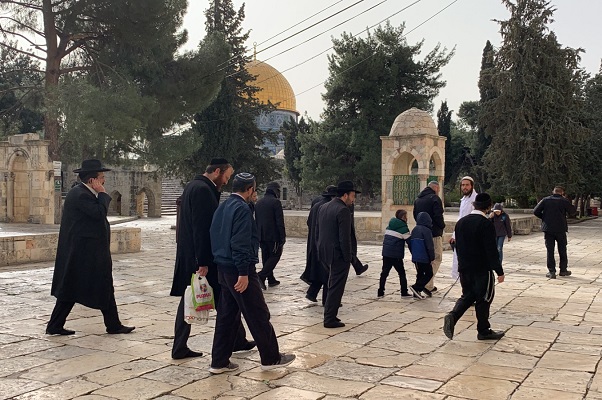 مستوطنون يقتحمون المسجد الأقصى-الحياة الجديدة