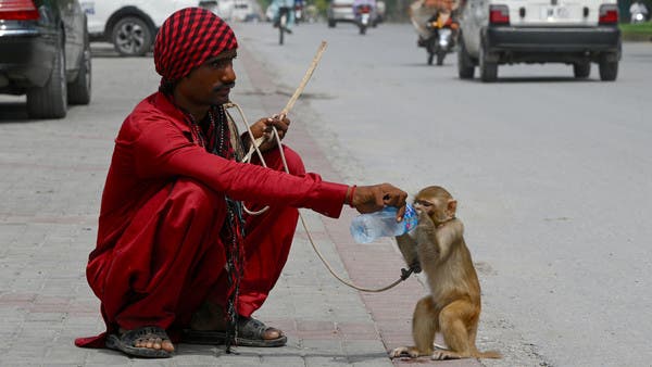 موجات حر شديدة تجتاح العالم.. تحذير من اندلاع حرائق وسقوط ضحايا