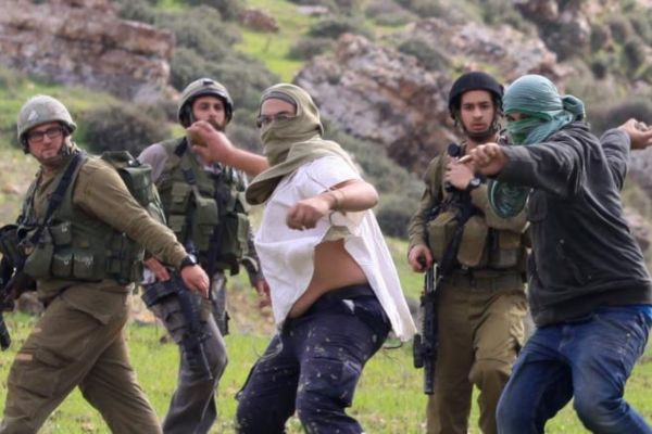 مستوطنون يقتلعون عشرات أشجارا ويدمرون محاصيل زراعية شرق الخليل-الحياة الجديدة