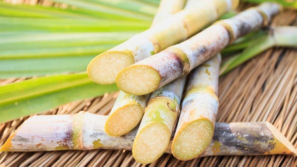 لا يُنصح بتناوله يومياً.. عصير طبيعي مذاقه مدهش وفوائده متعددة