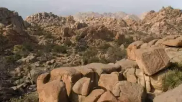 اختبر قوة ملاحظتك.. هل تستطيع العثور على الماعز خلال 10 ثوان فقط؟