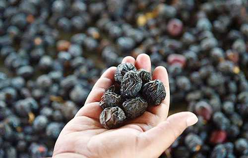 السعودية تؤسس شركة لتطوير منتجات تمور العجوة المحلية