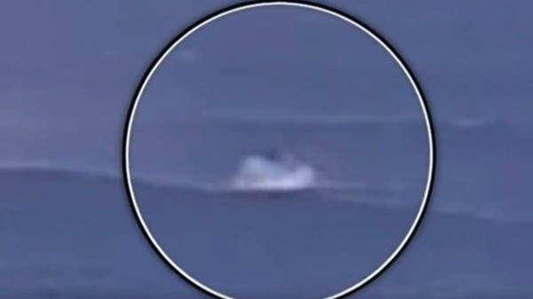 سبح وهو ينزف بغزارة.. مشهد مرعب لنجاة شاب من فك قرش أبيض