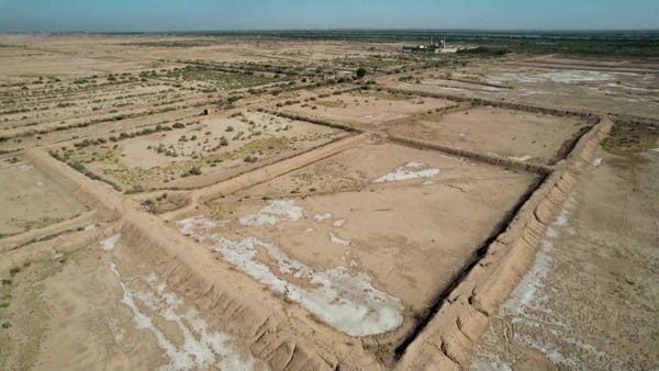 عمال لا يتوقفون عن أشغالهم تحت لهيب الشمس الحارقة في العراق