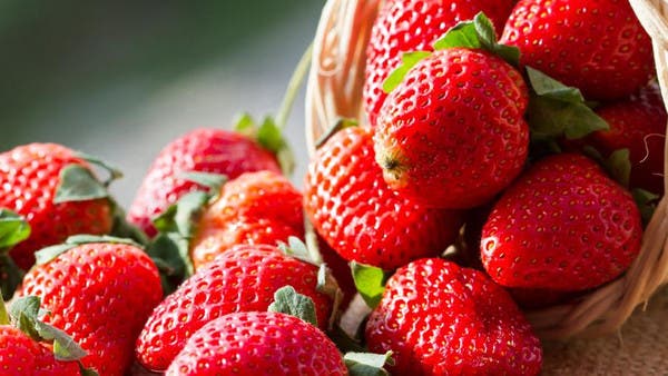 لصحة القلب والوقاية من السرطان.. 6 فوائد مذهلة لتناول الفراولة