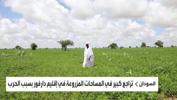 كيف أضرت الحرب في السودان بالقطاع الزراعي؟