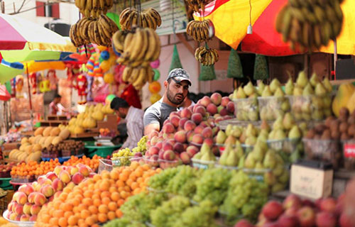 أسعار مرتفعة للفواكه رغم وفرتها في الأسواق