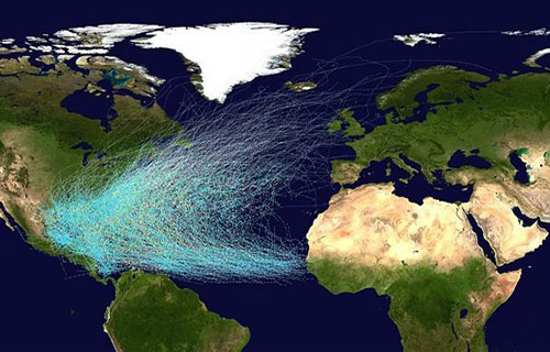 الاقتصاد العالمي يواجه تبعات لامدمرة لارتفاع حرارة المحيط الهادي