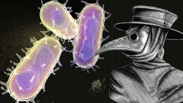 شديد العدوى.. تسجيل 3 إصابات بـ”الموت الأسود” في الصين