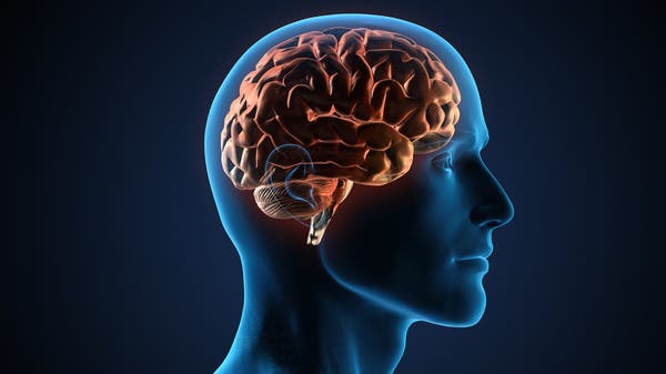 بينها تقليل التوتر.. 10 طرق سهلة لشحذ الدماغ