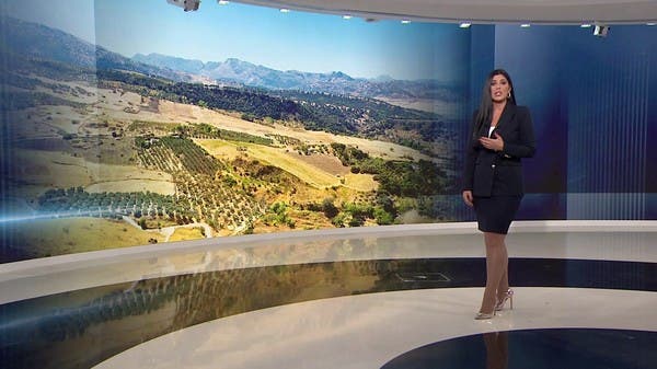 دراسة تحذر من مجاعة نتيجة ارتفاع الحرارة.. و”البنك الدولي” يكشف مفاجأة