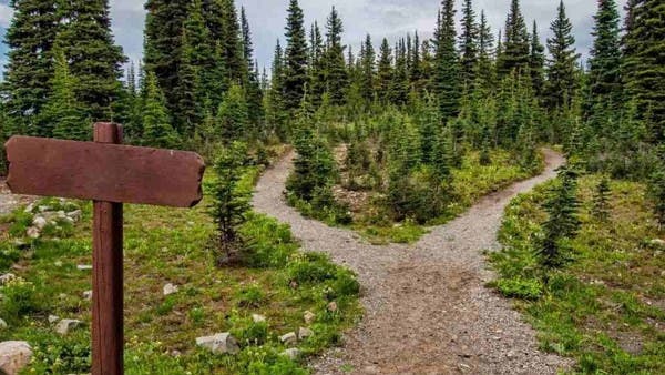 ما زلت تتمتع بعيون النسر؟ اعثر على السلحفاة خلال 5 ثوان فقط..