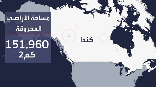 الكوكب أصبح كرة نار ملتهبة.. النيران تلتهم أراضي وغابات تعادل مساحة دول كاملة