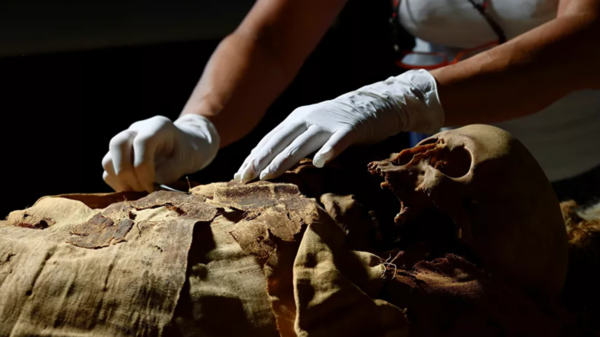 بعد 3500 عام.. اكتشاف عطر “الخلود” الفرعوني المستخدم في التحنيط