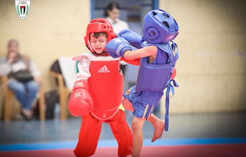 اتحاد “الووشو كونغ فو” يختتم بطولته المركزية للفئات العمرية