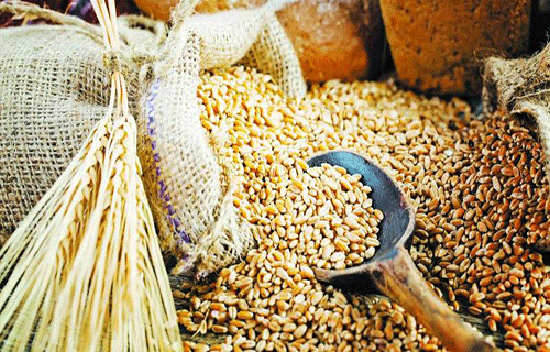 أسعار الغذاء تواصل التراجع رغم مخاطر سلاسل الإمداد