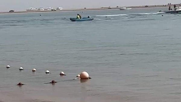 بعد واقعة افتراس الروسي بالغردقة.. قرش يلتهم ذراع مصرية بسيناء