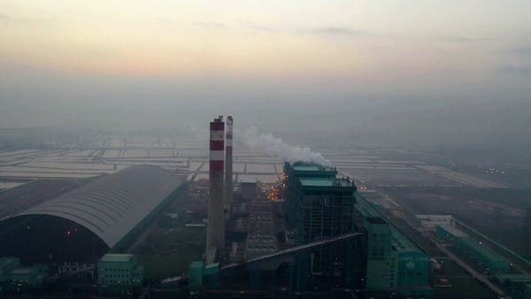 انتهكوا 66% من المحظورات البيئية