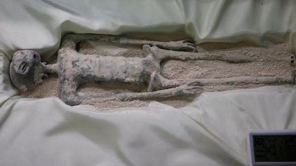 كائنات المكسيك الفضائية المخيفة.. صور الأشعة تفجر صاعقة!