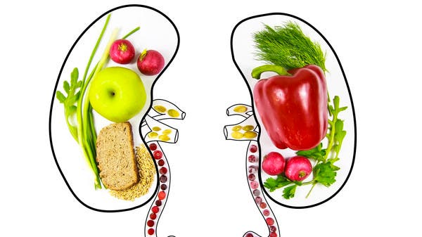 أطعمة ومشروبات يمكن أن تُنشط الكلى بشكل طبيعي