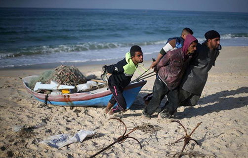 بداية ضعيفة لموسم الأسماك الخريفي وآمال بتحسنه قريباً